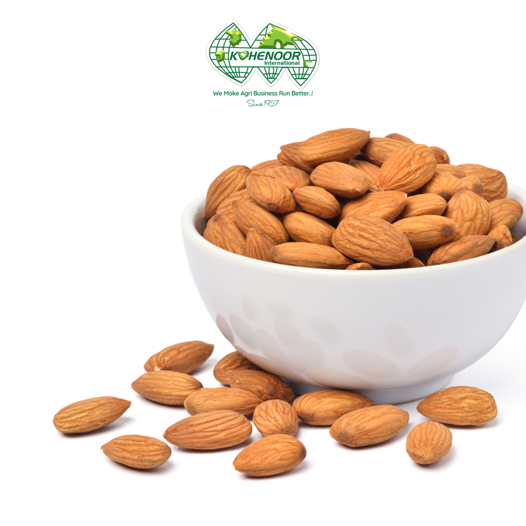 Apricot Kernel 4.jpg