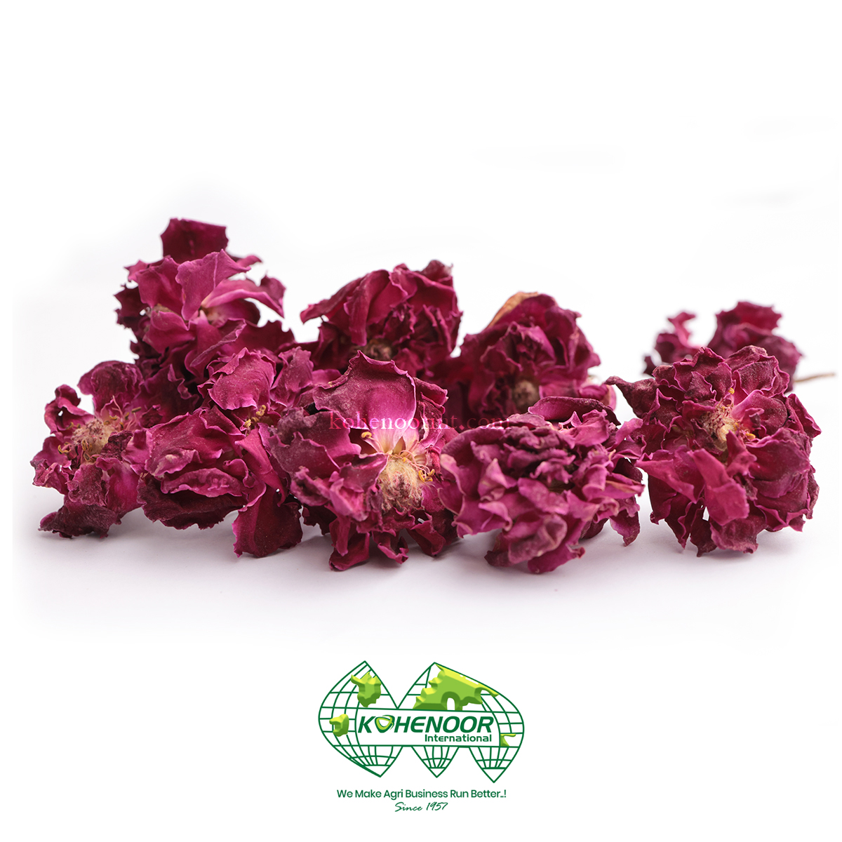 Dried Rose Flowers (SI2).jpg