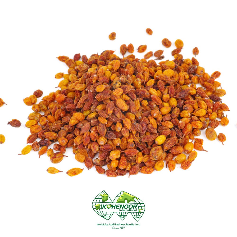 sea buckthorn 4.jpeg