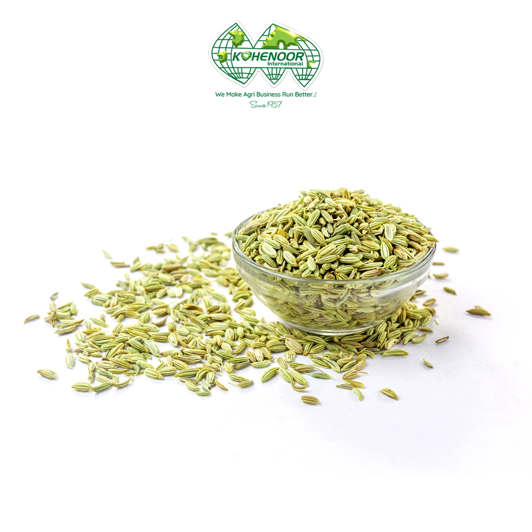 Fennel 4.jpg
