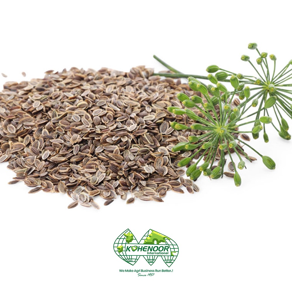 Dill seeds 4 .jpeg