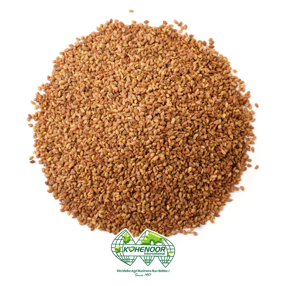 Alfalfa seeds