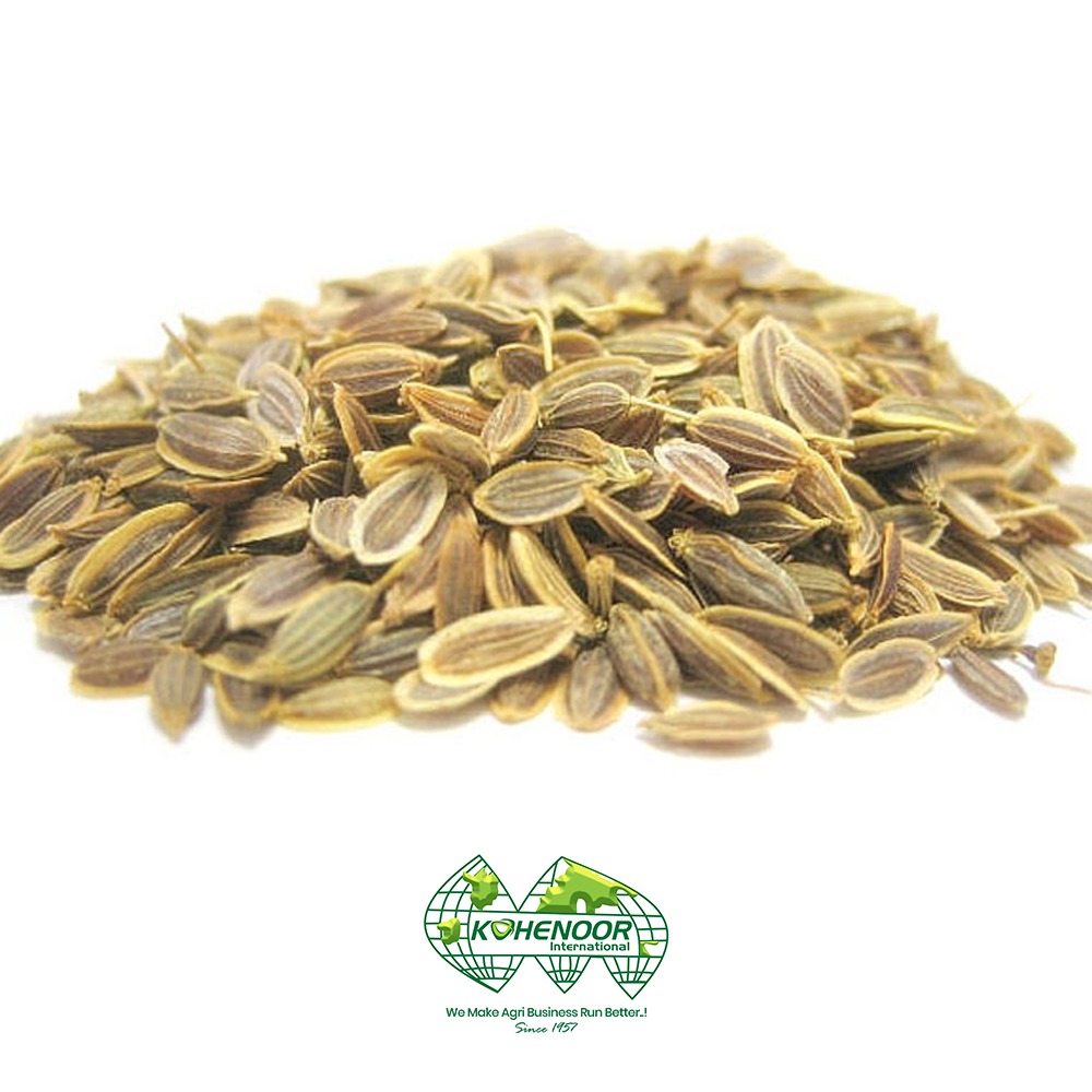 dill seeds 2.jpeg