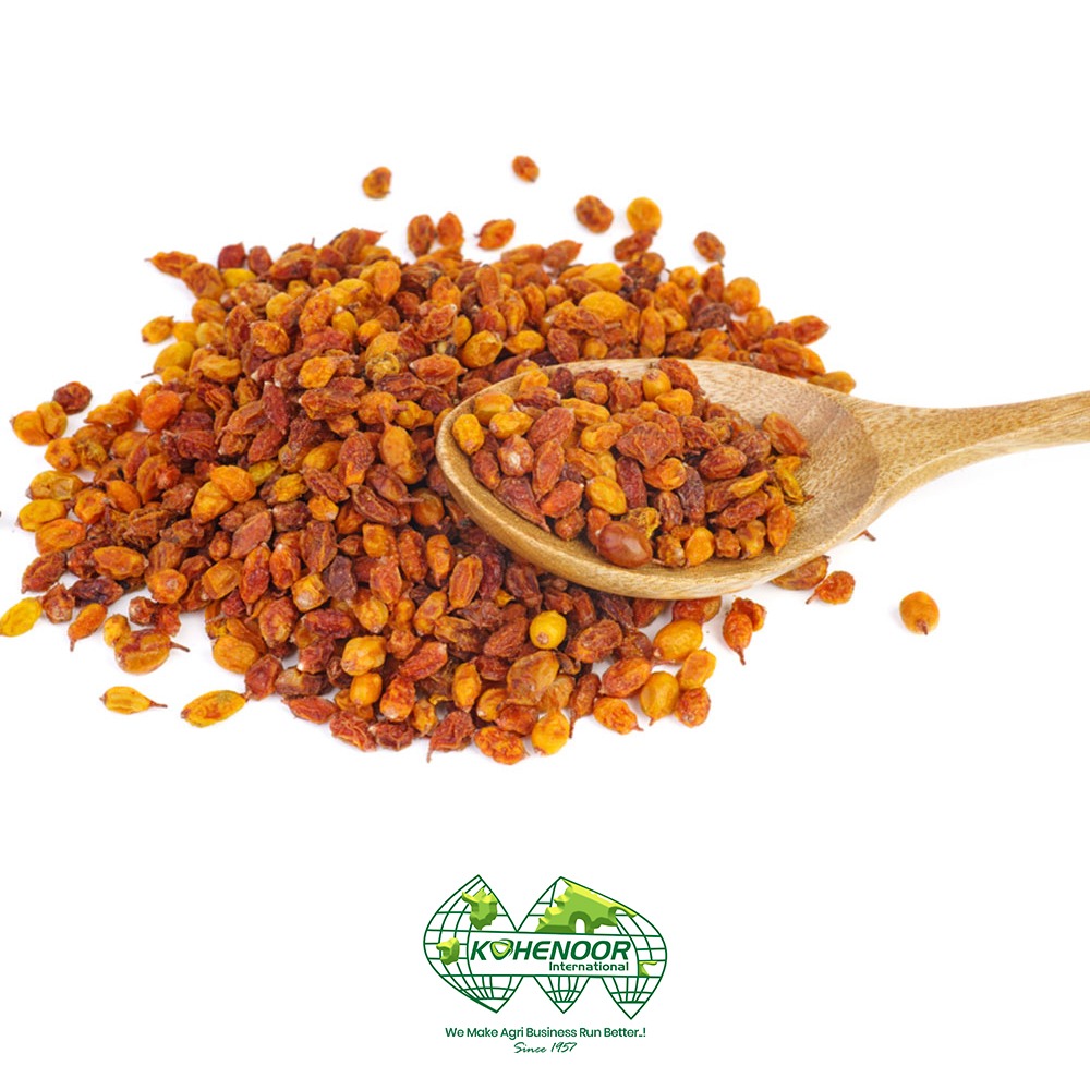 sea buckthorn 1.jpeg