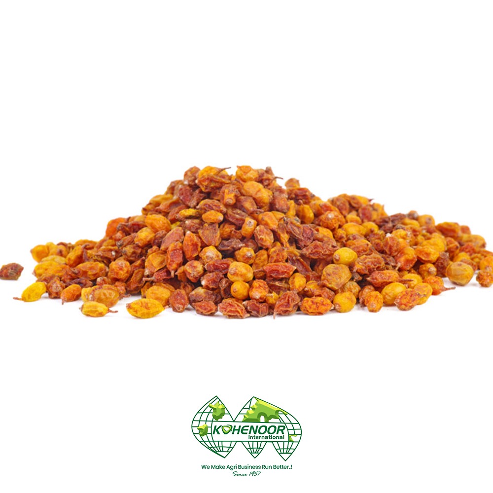 sea buckthorn 2.jpeg