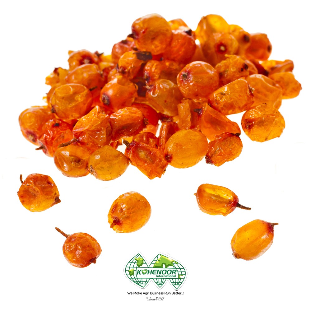 sea buckthorn 3.jpeg