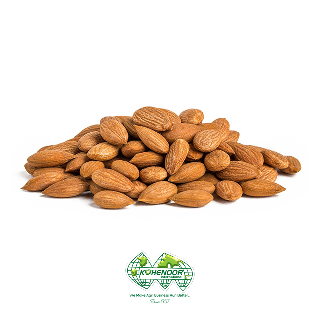 Apricot Kernels