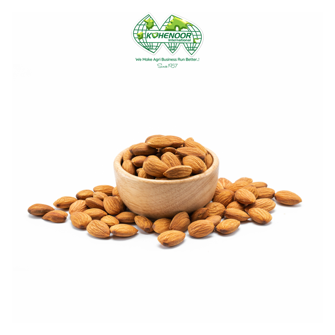 Apricot Kernel 5.jpg