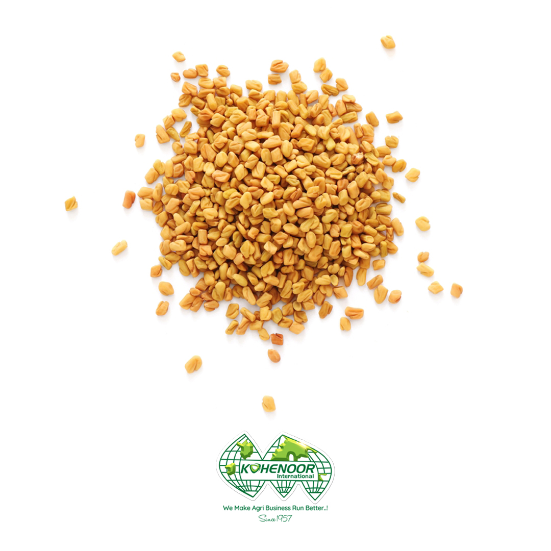 Fenugreek 4.jpg