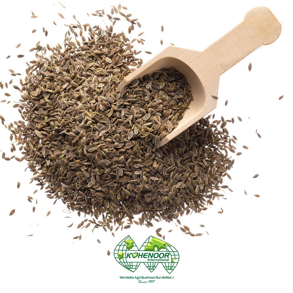 Dill seeds 5.jpeg