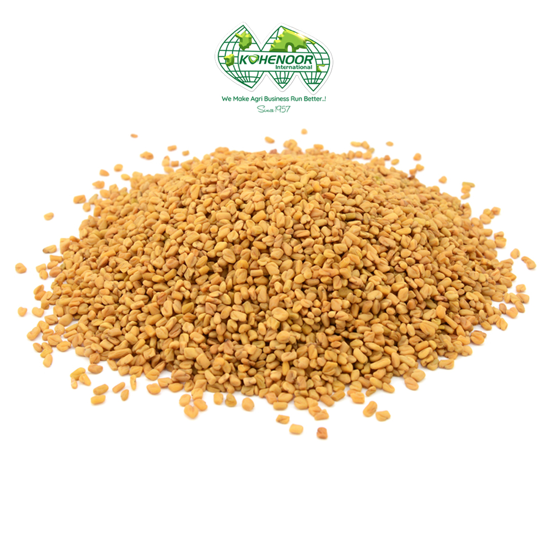 Fenugreek Seeds
