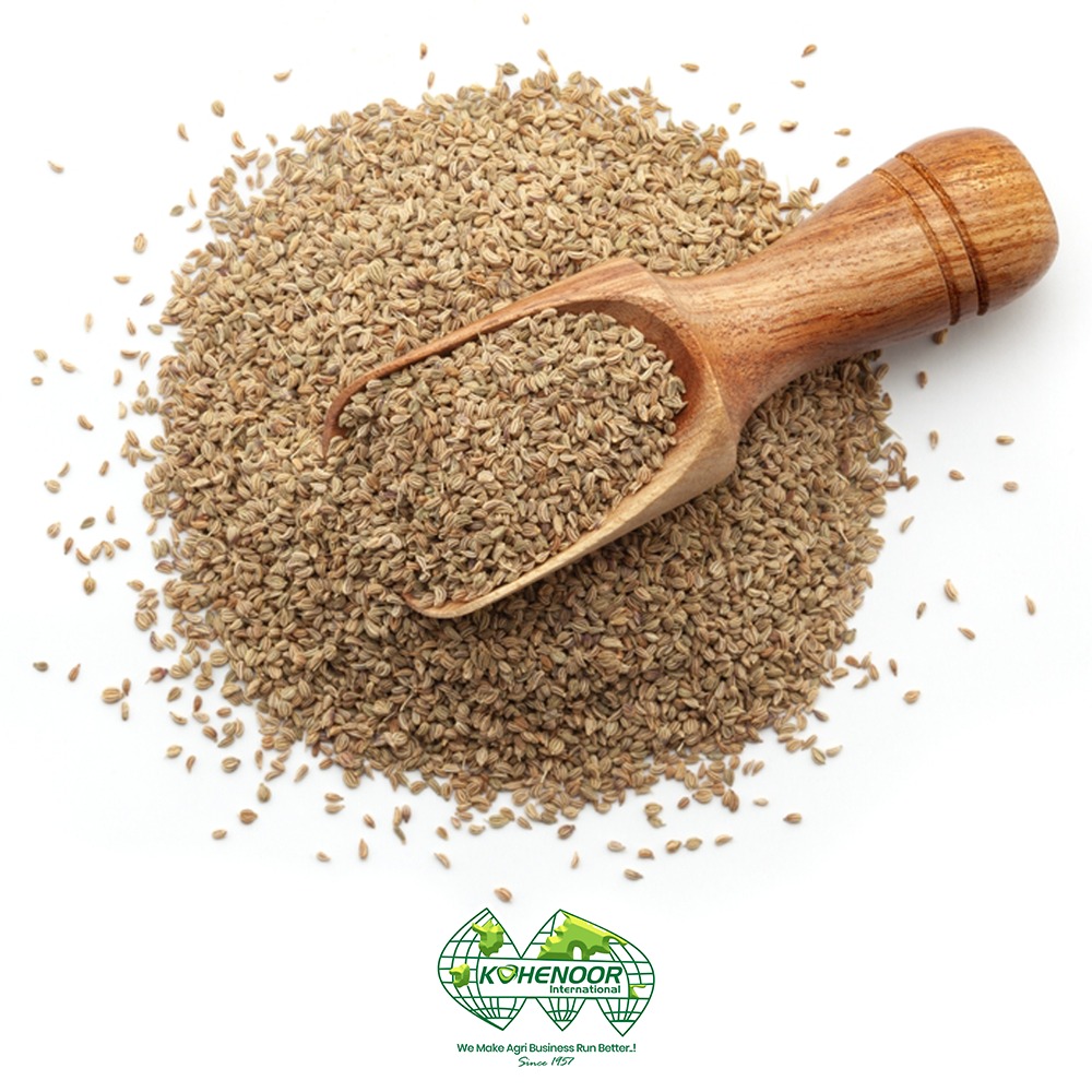 Ajwain 2.jpeg