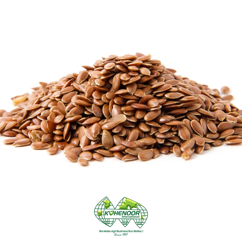 flax 2.jpeg