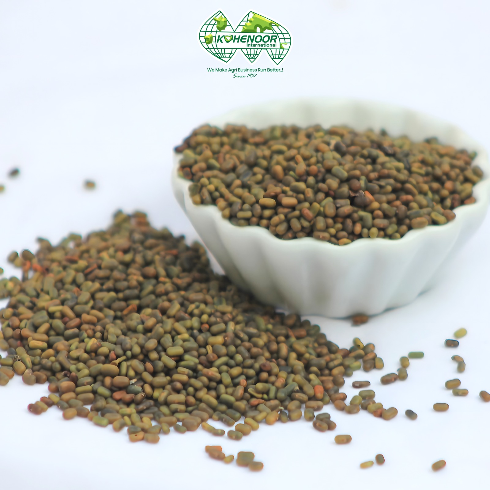 Sesbania seeds (Sesbania sesban)