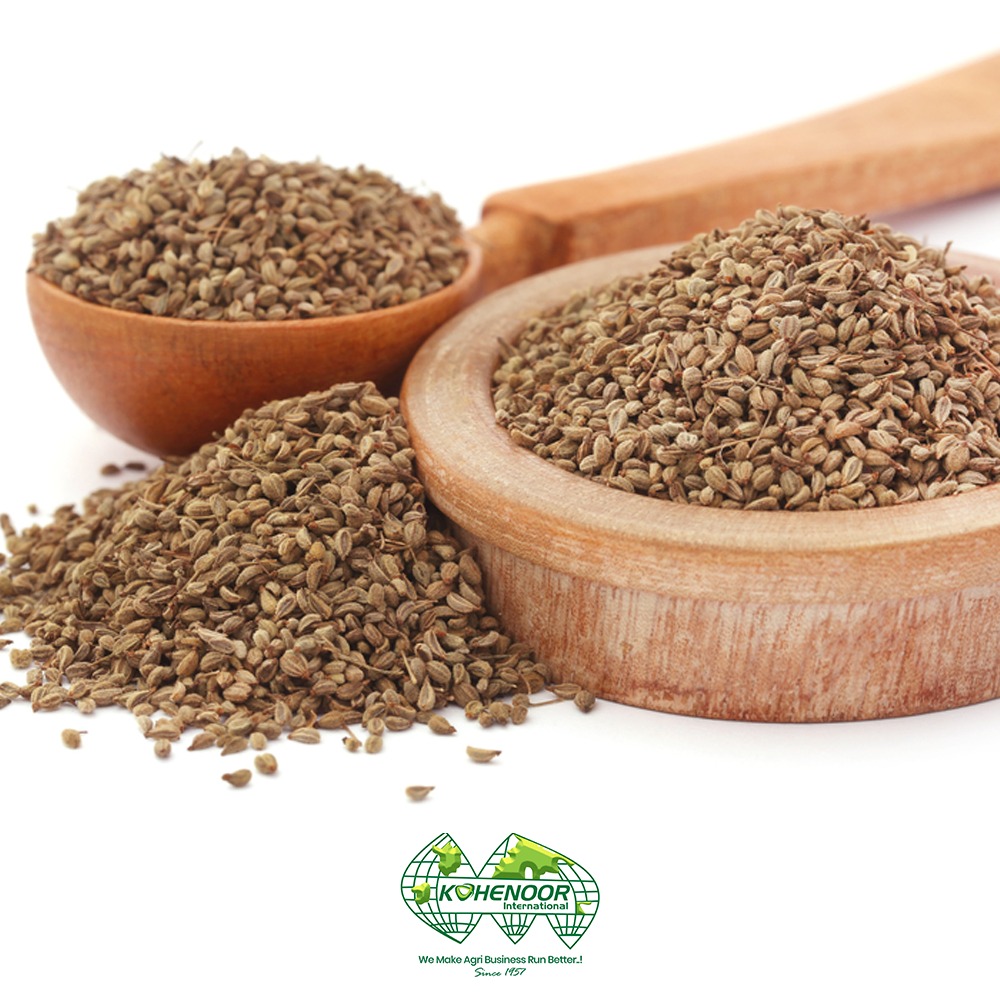 Ajwain 3.jpeg