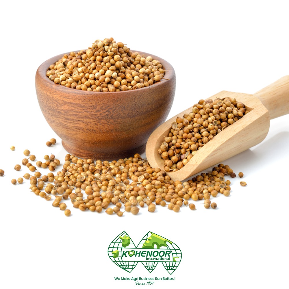 Coriander 2.jpeg
