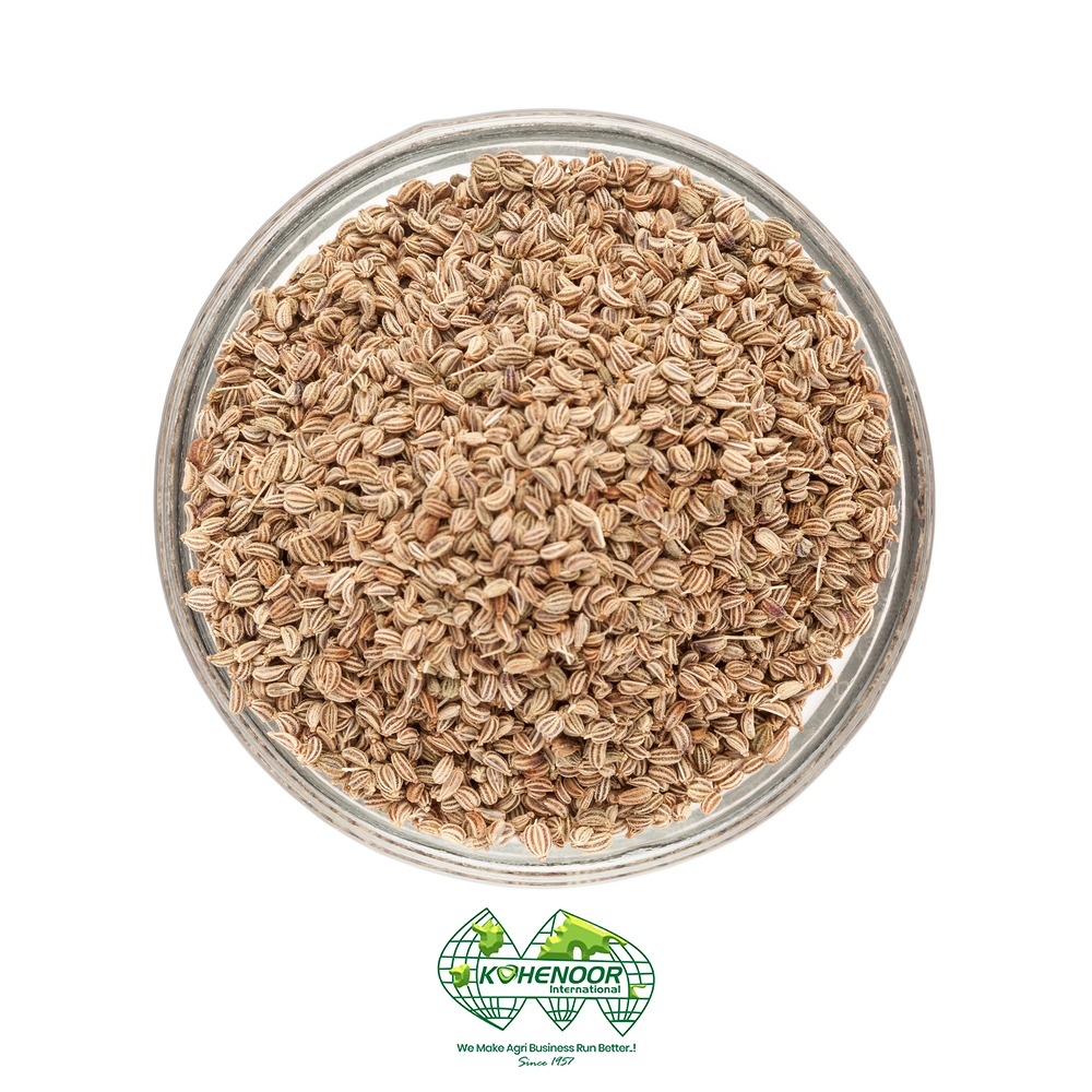 AJWAIN 5.jpeg