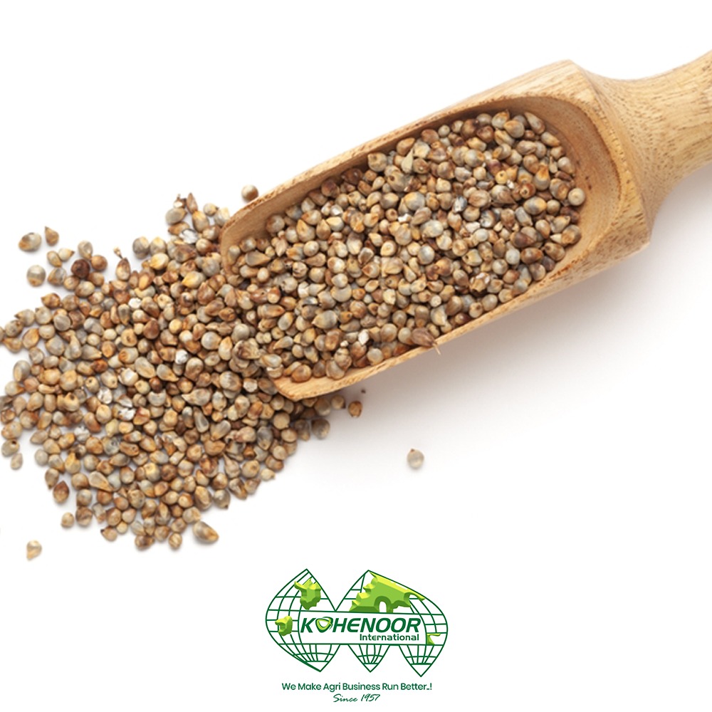 pearl millet 5.jpeg