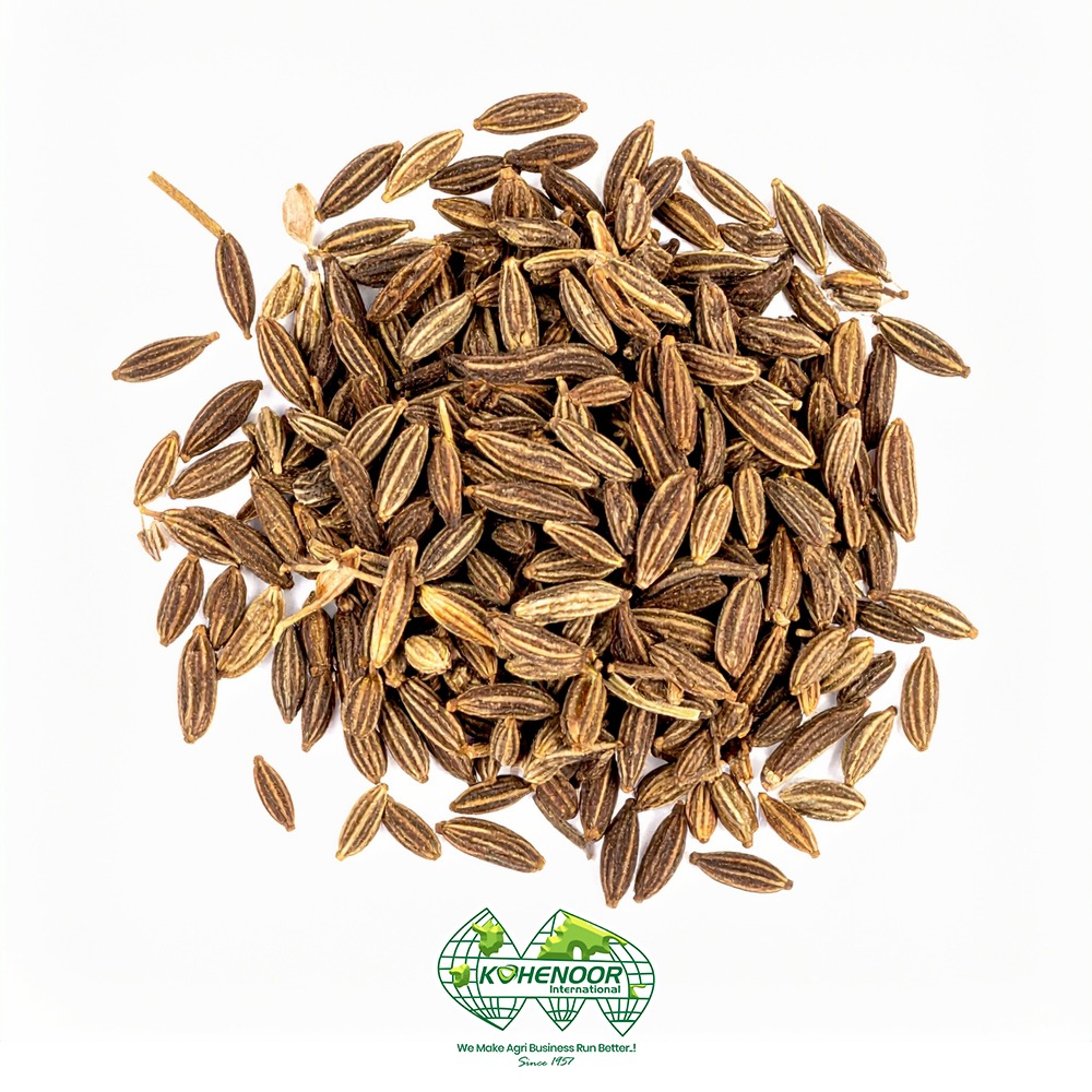 Ajwain 4 .jpeg
