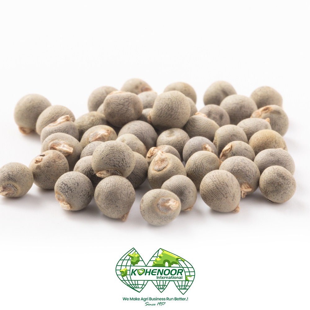 Okra seeds (Abelmoschus esculentus)
