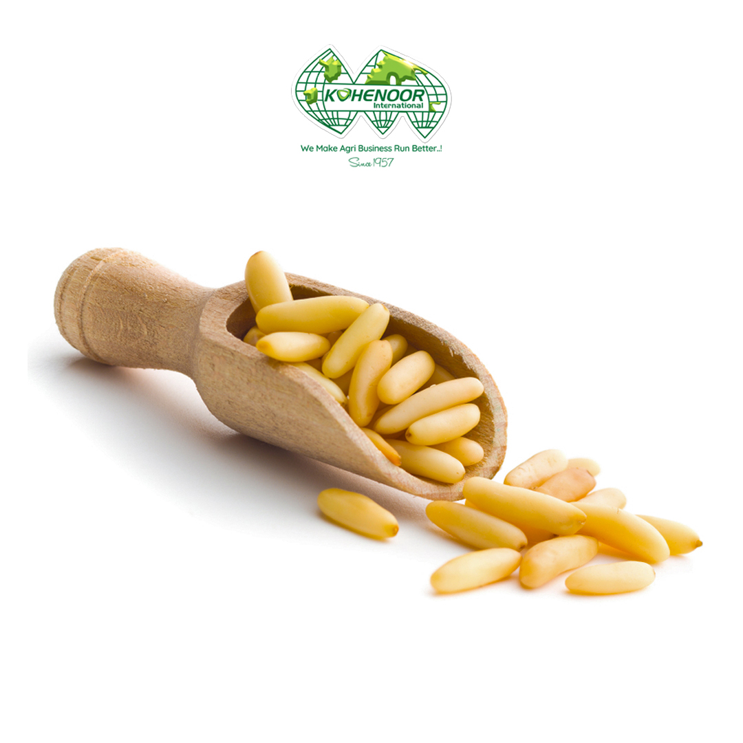 Pine Nuts 5.jpg