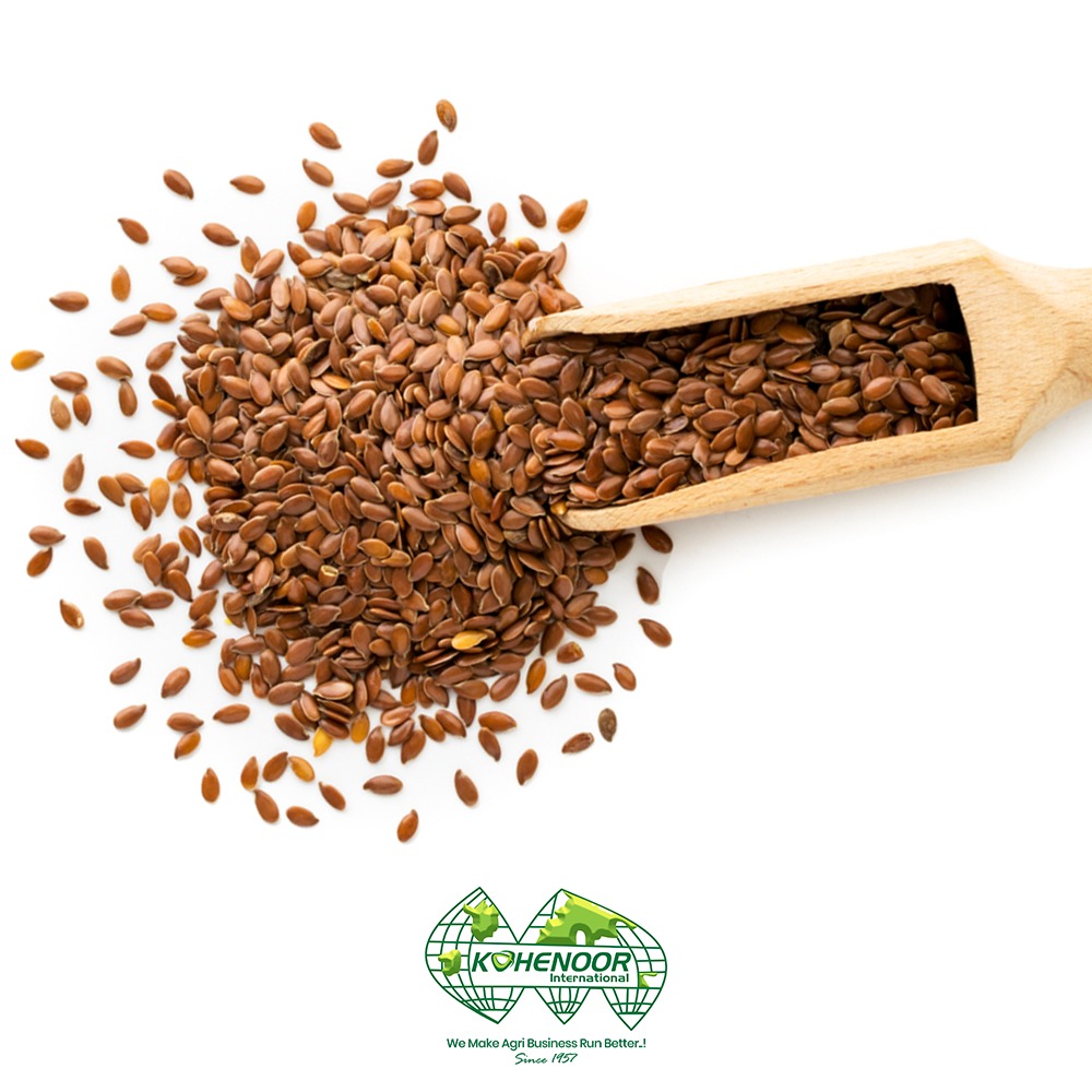 flax 3.jpeg