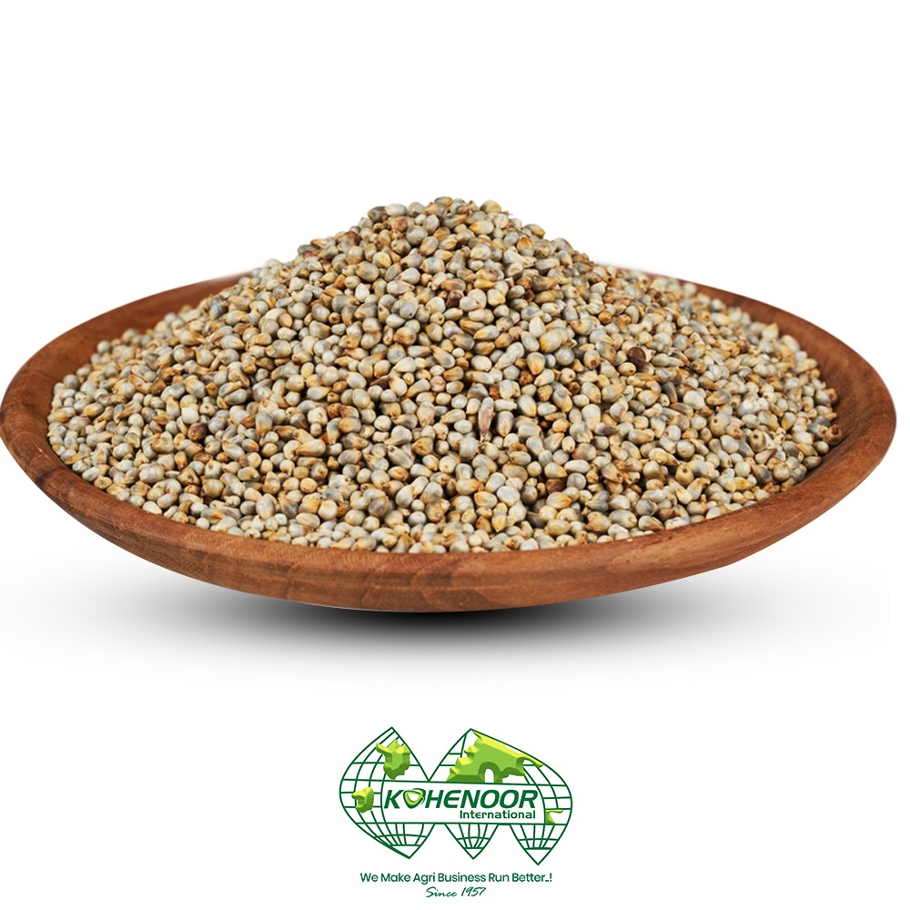 pearl  millet 2.jpeg