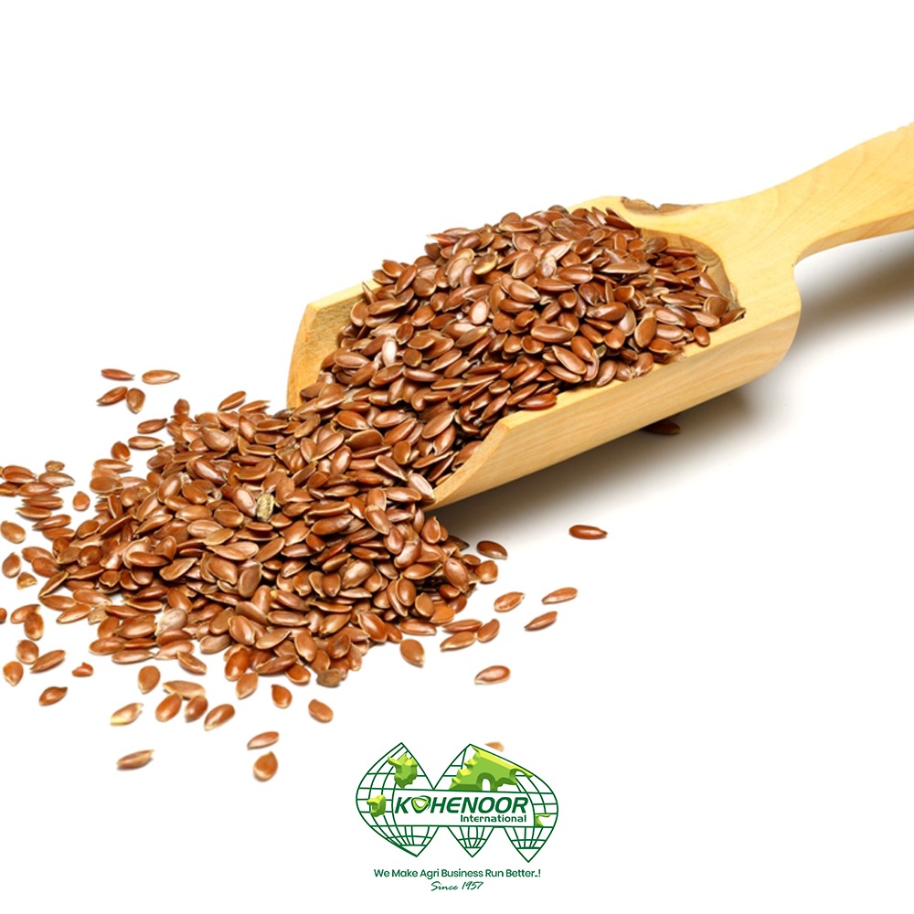 flax 4.jpeg