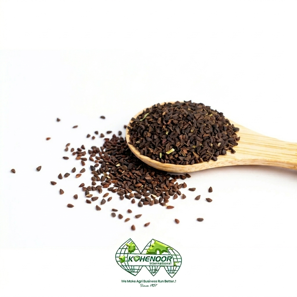 Harmal Seeds (Peganum harmala)