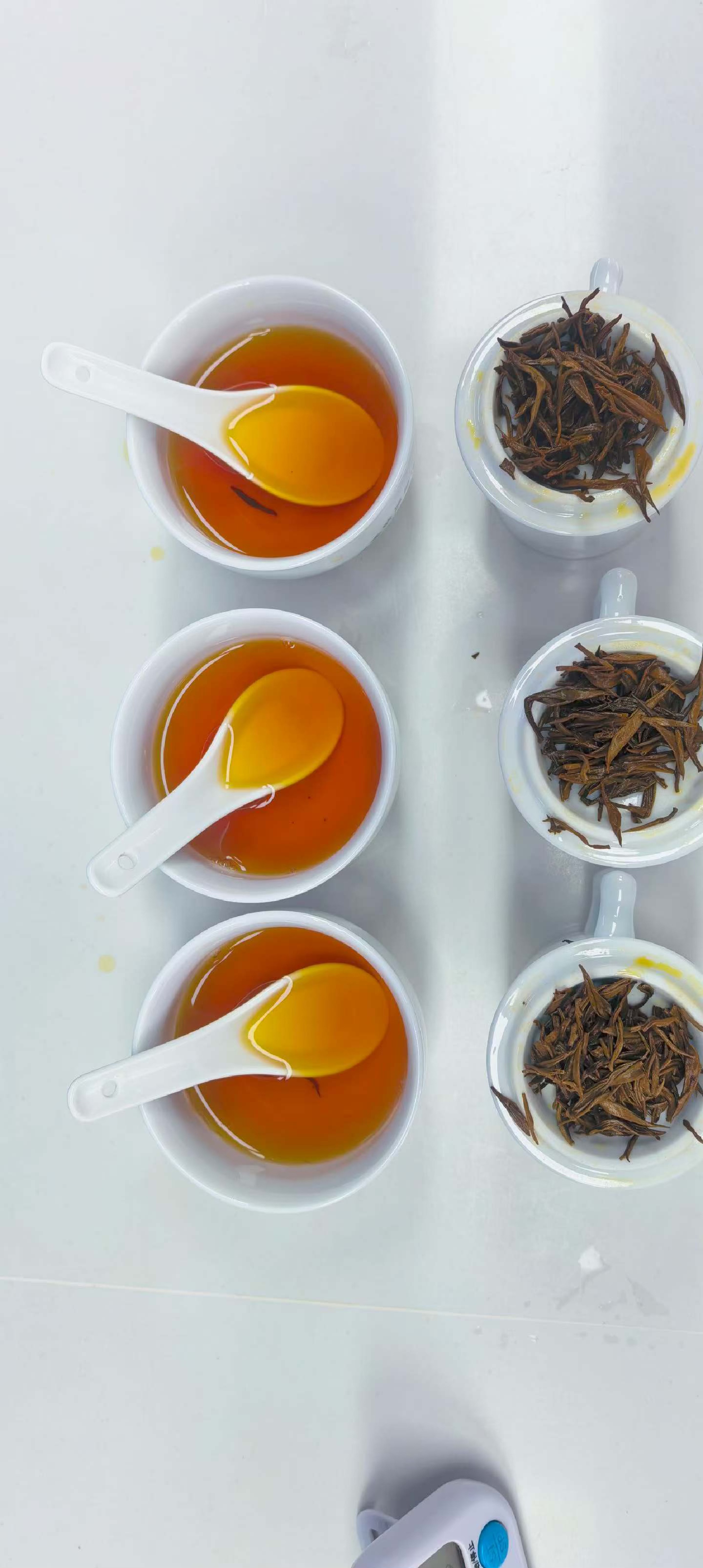 审评红茶.jpg