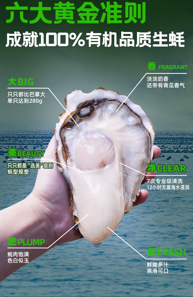 有机生蚝详情页_02.jpg