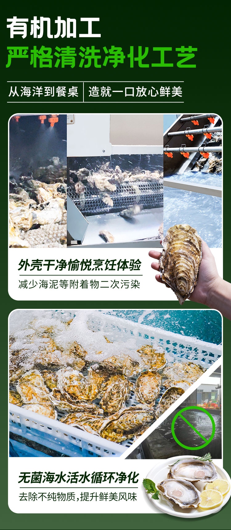有机生蚝详情页_07.jpg