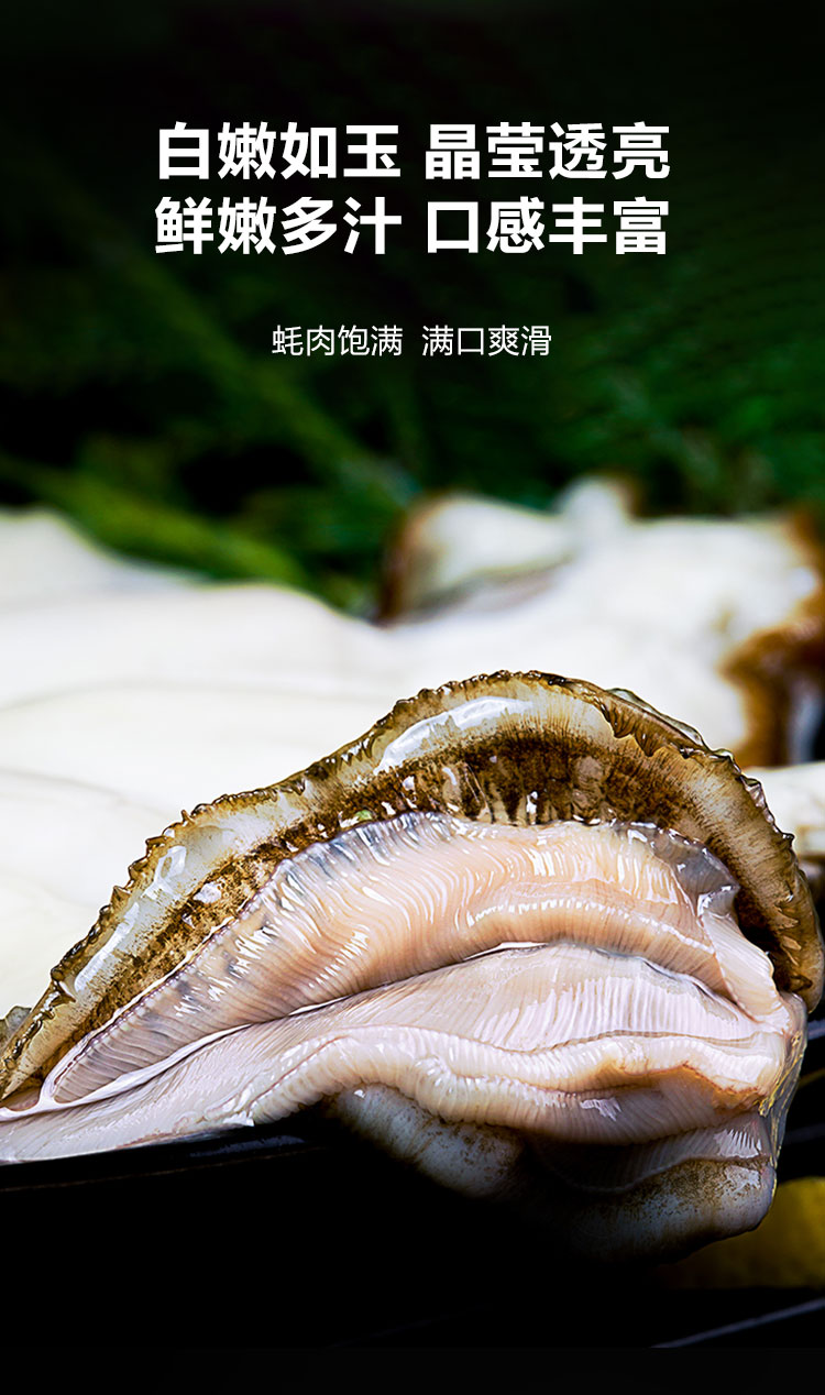 生蚝12只-山姆-调整_06.jpg