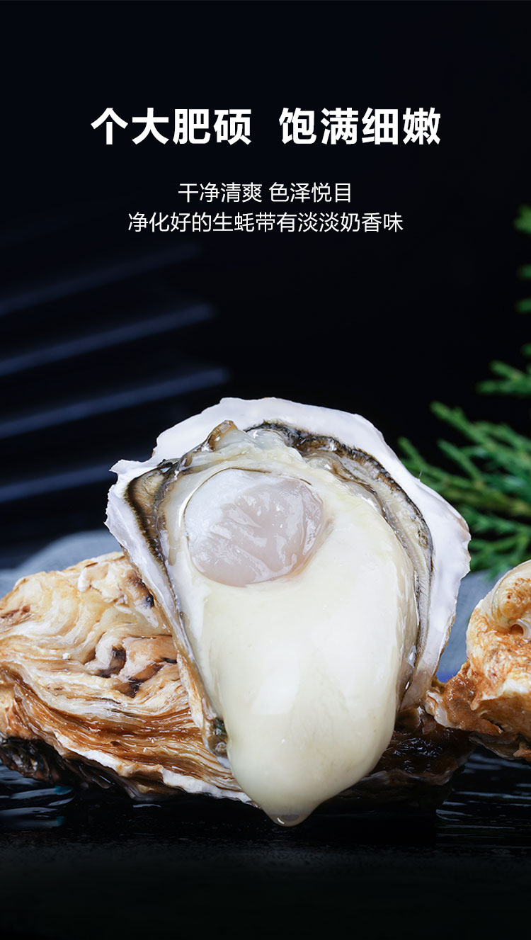 生蚝12只-山姆-调整_05.jpg