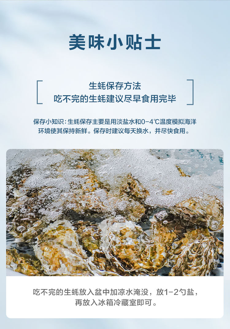 生蚝12只-山姆-调整_08.jpg