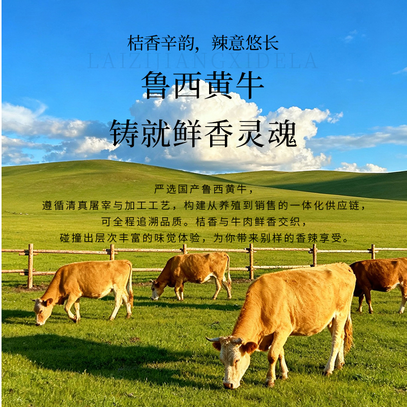 牛肉9.jpg
