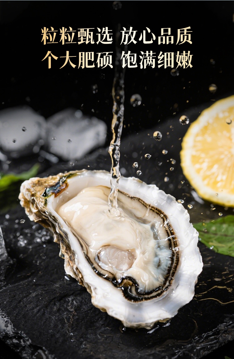 DTSM详情页_07.jpg