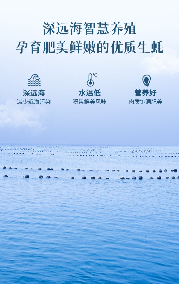 DTSM详情页_03.jpg