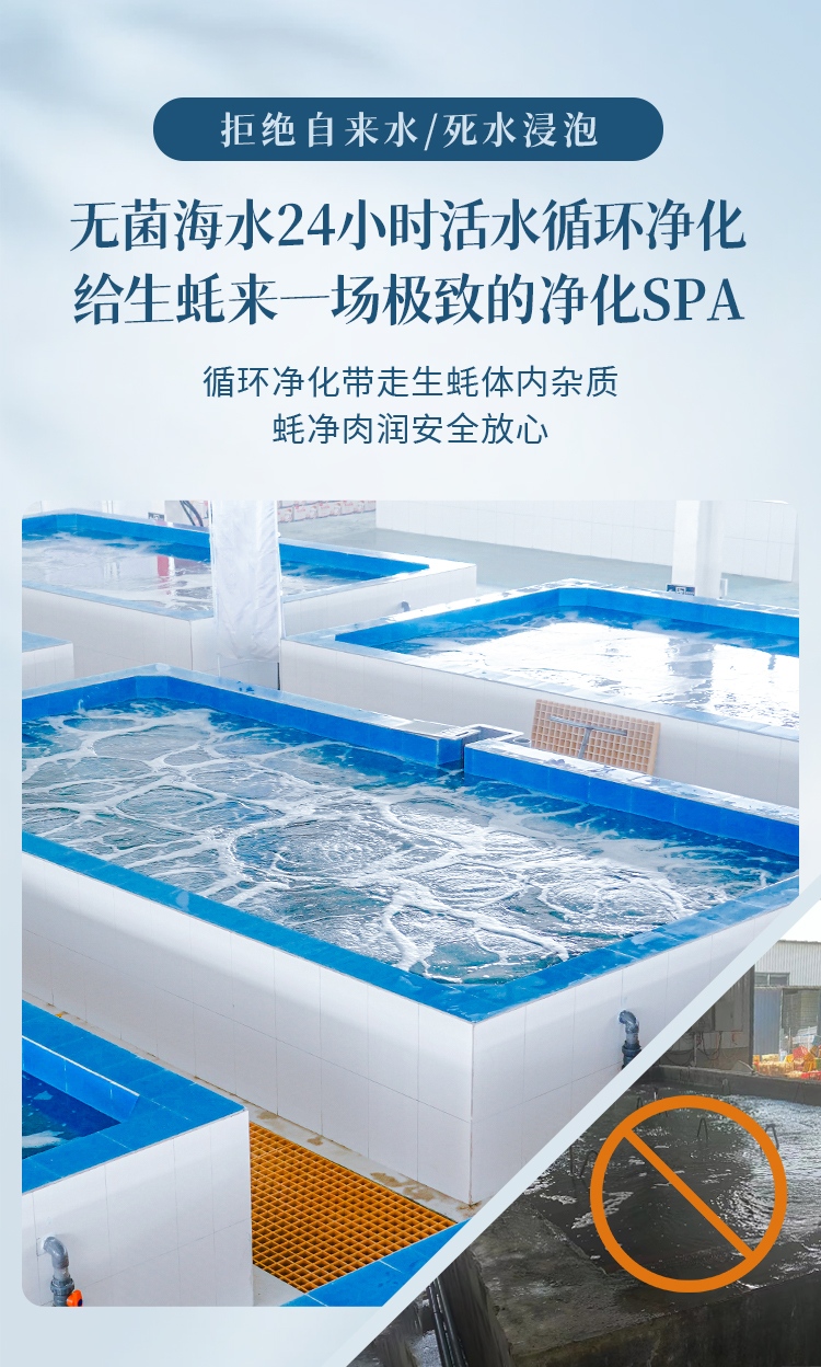 DTSM详情页_05.jpg