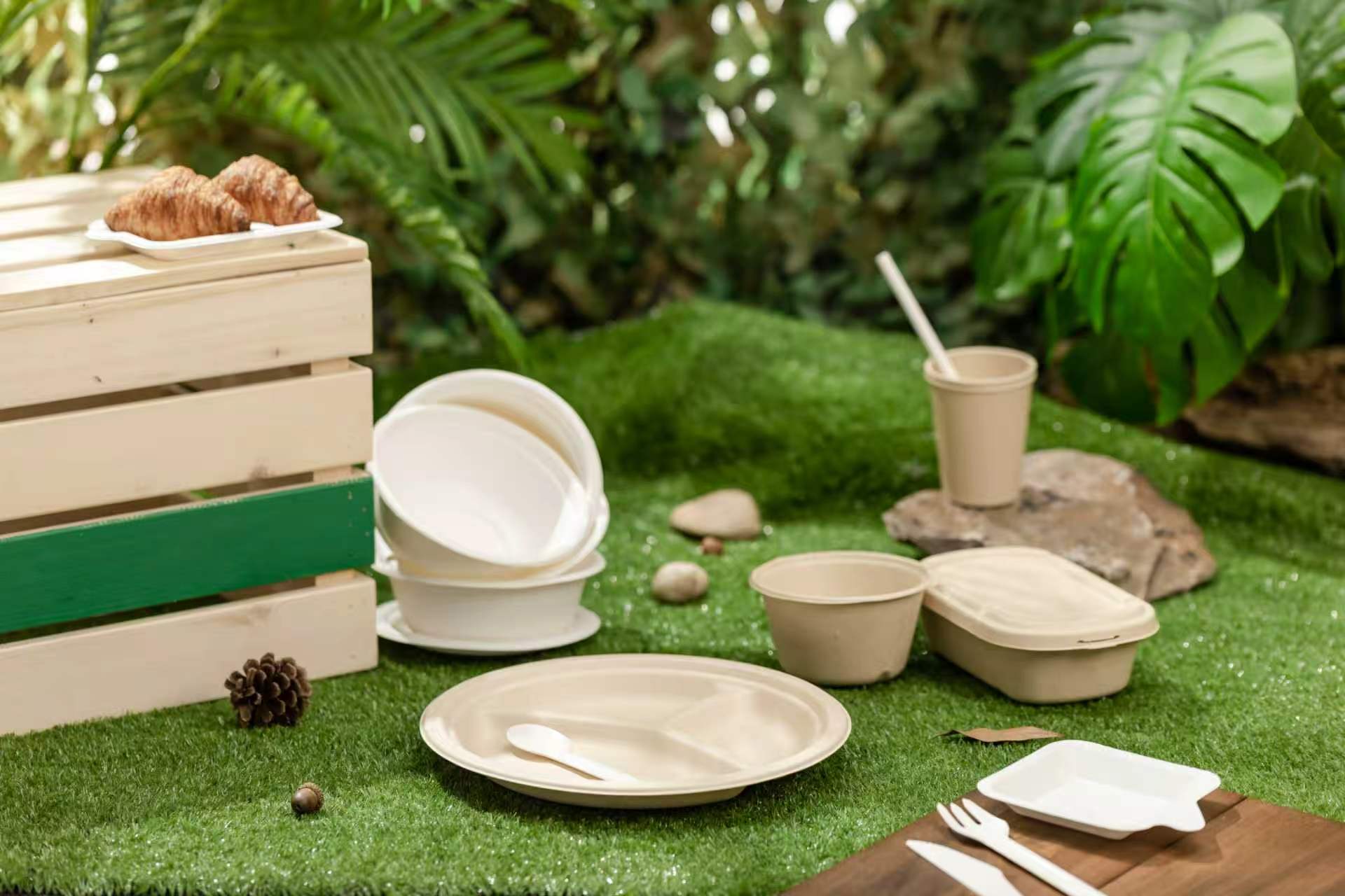 Eco Tableware