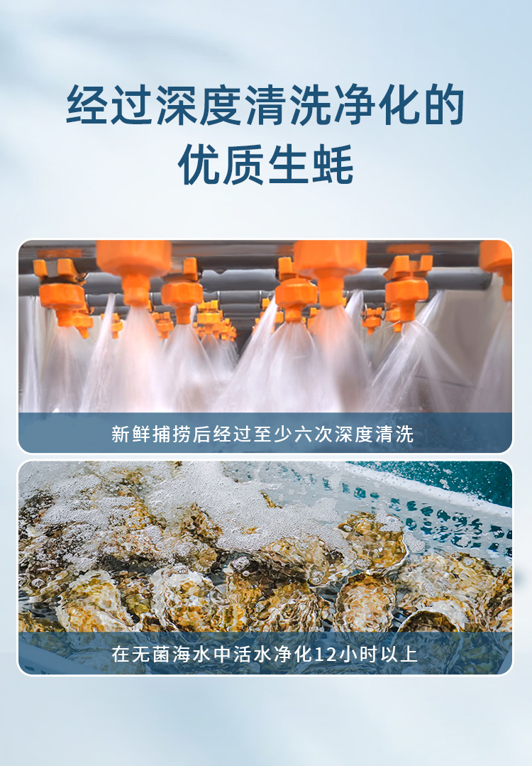 有機(jī)生蠔肉詳情頁(yè)_03.jpg