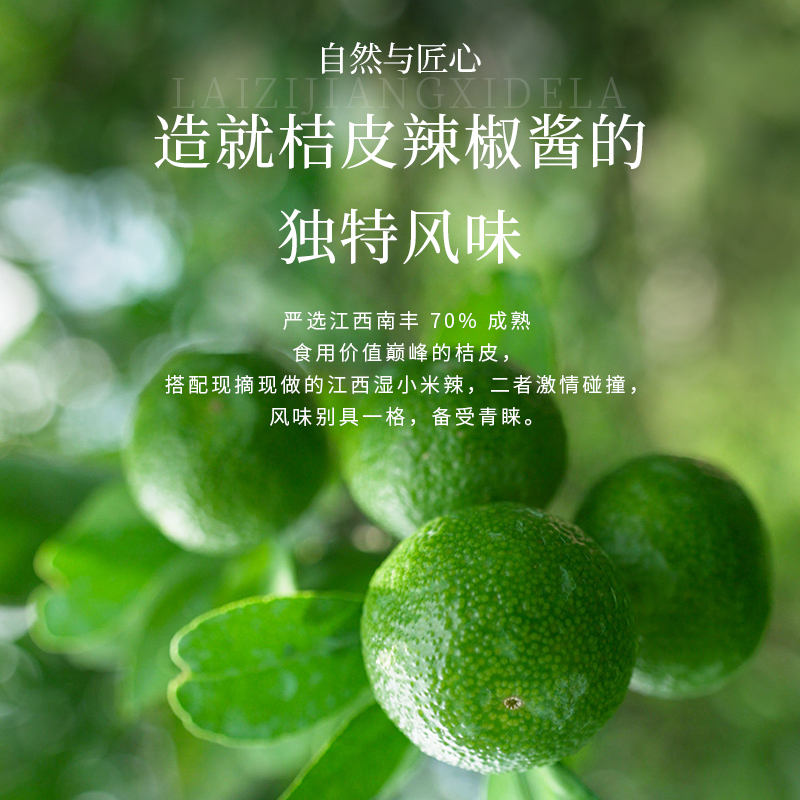 香菇7.jpg