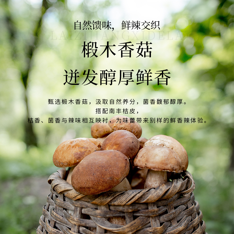 香菇9.jpg