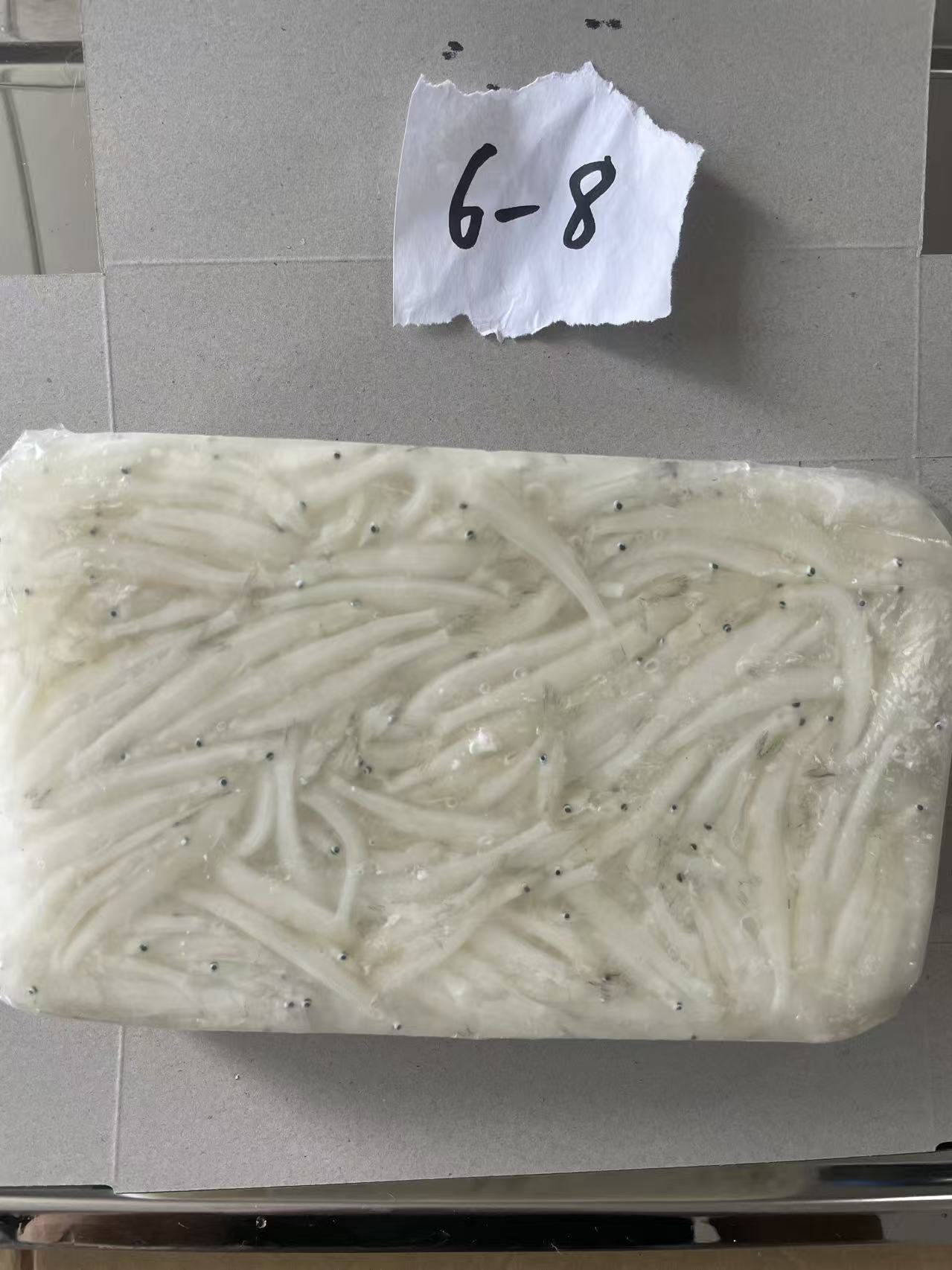 silver fish