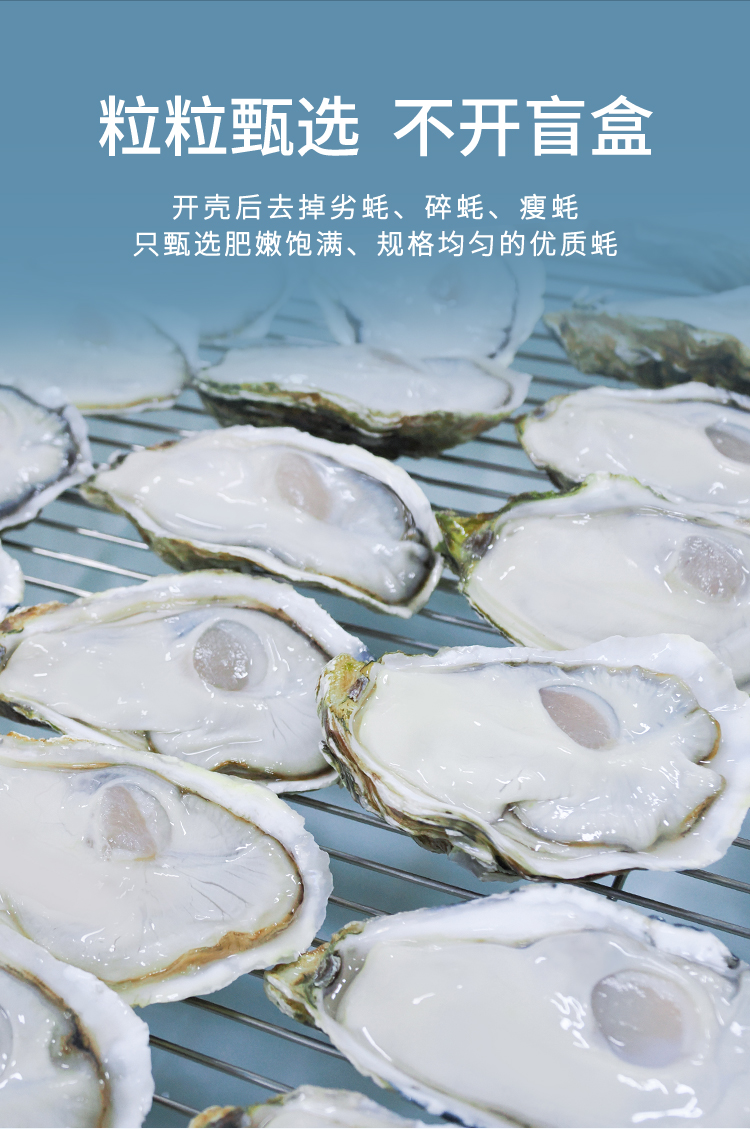 冰鮮生蠔詳情頁_06.jpg