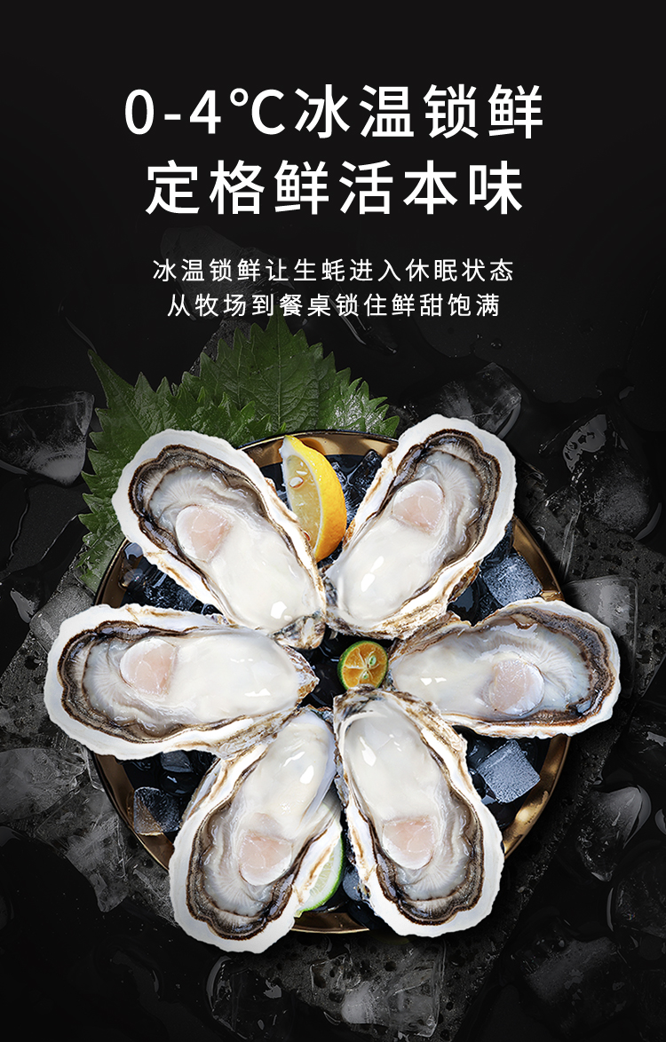 冰鮮生蠔詳情頁_08.jpg