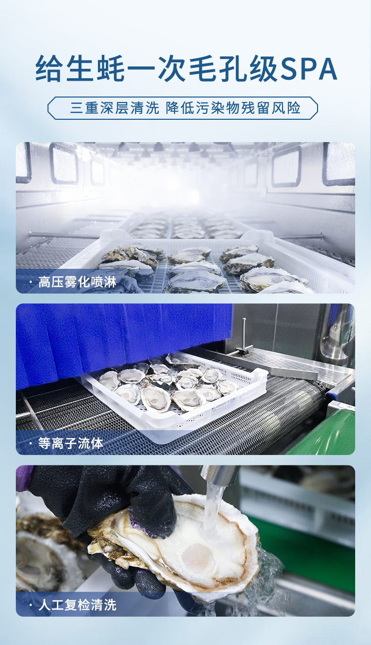 冰鮮生蠔詳情頁_07.jpg
