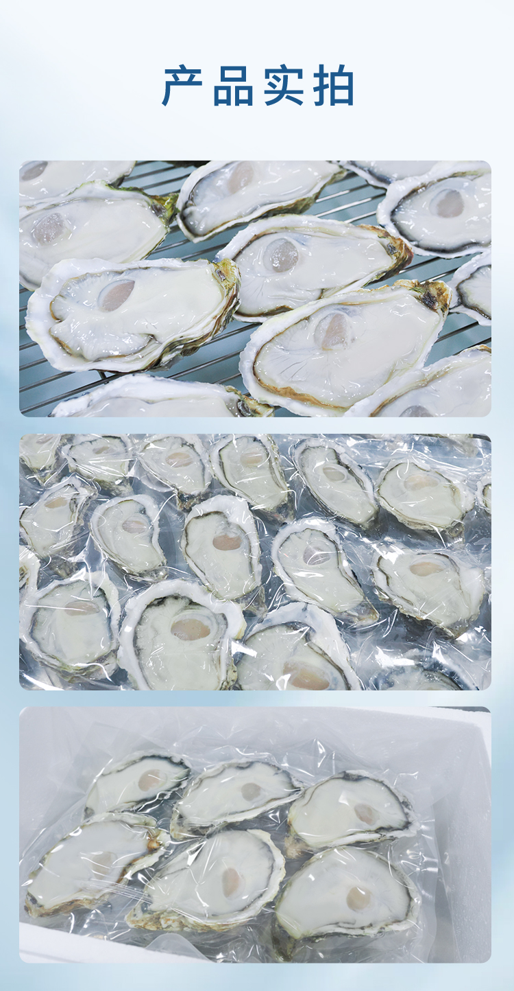 冰鮮生蠔詳情頁_09.jpg