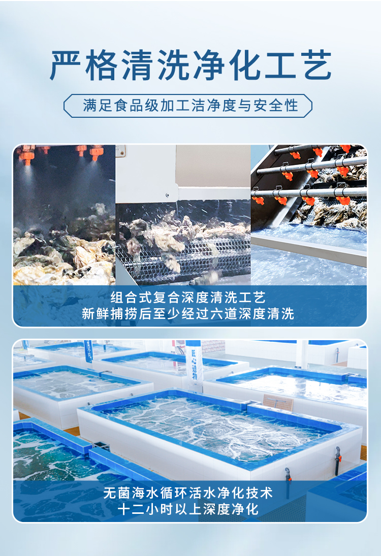 冰鮮生蠔詳情頁_04.jpg