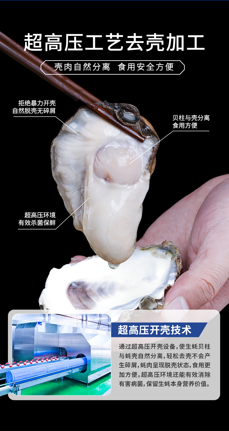 251124-液氮冻半壳生蚝（配蒜蓉酱）-宣传长图_11.jpg